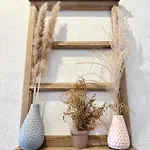 Apartman Casa Morena *